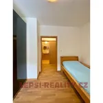 Rent 2 bedroom apartment in Mladotova