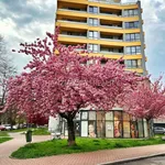 Rent 2 bedroom apartment of 45 m² in České Budějovice