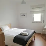 Rent 2 bedroom apartment of 60 m² in Évora