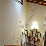 Rent 3 bedroom apartment of 75 m² in Mantova