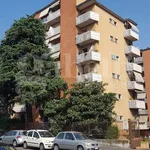 Rent 1 bedroom apartment of 35 m² in Milano