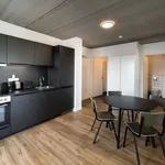 Rent a room of 59 m² in Frankfurt am Main