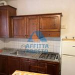 Appartamento QUADRILOCALE in affitto a	Poppiano (Fi)