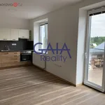 Rent 1 bedroom apartment of 34 m² in Břeclav