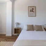 Alquilar 4 dormitorio apartamento en Valencia