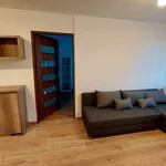 Rent 2 bedroom apartment of 45 m² in Zabrze