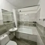 Rent 1 bedroom apartment in Ostrava