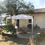 Rent 3 bedroom house of 70 m² in Seravezza