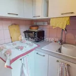 1-bedroom flat via Privata Andrea Merlo 1, Centro, Ceriale