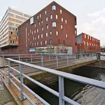 Rent 1 bedroom apartment of 85 m² in Hoofddorp