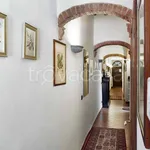 Rent 3 bedroom apartment of 70 m² in Firenze