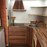 Rent 1 bedroom apartment of 28 m² in Frýdek-Místek