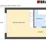 Pronajměte si 1 ložnic/e byt o rozloze 43 m² v Brno