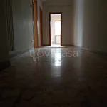 Rent 4 bedroom apartment of 155 m² in Trani