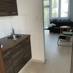 Rent 1 bedroom apartment of 24 m² in Warsaw