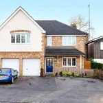 Rent 6 bedroom house in South East England