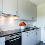 Rent 4 bedroom apartment in Grenchen