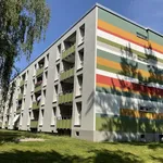 Rent 4 bedroom apartment of 80 m² in Dortmund