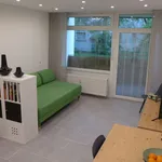 Rent 1 bedroom apartment of 32 m² in Heidelberg