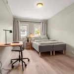 Rent a room of 12 m² in Trondheim