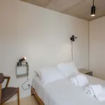 Rent 4 bedroom apartment of 50 m² in Porto