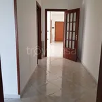 Rent 3 bedroom apartment of 110 m² in San Nicola la Strada