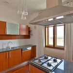 Rent 5 bedroom apartment of 210 m² in Prague