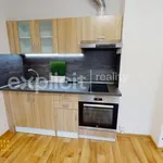 Rent 1 bedroom apartment of 28 m² in Zlín