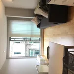 Rent 1 bedroom flat in Sheffield