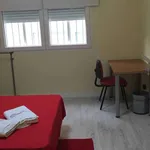 Rent a room in madrid