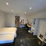 Rent 1 bedroom apartment in Brussels