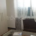 Rent 2 bedroom apartment of 60 m² in Frosinone