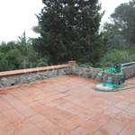 Rent 4 bedroom house of 100 m² in Orbetello