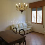 Rent 4 bedroom apartment of 90 m² in Bologna