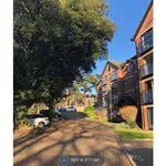 Rent 2 bedroom apartment in Colchester