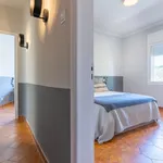 Rent 4 bedroom apartment of 12 m² in Barcelona