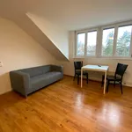 Miete 2 Schlafzimmer wohnung von 40 m² in Zürich