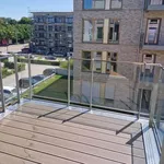 Rent 3 bedroom apartment of 79 m² in Dresden