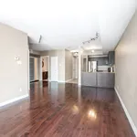  appartement avec 1 chambre(s) en location à 234