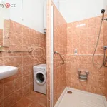 Rent 2 bedroom apartment of 56 m² in Trhový Štěpánov