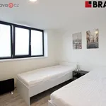 Rent 3 bedroom apartment in Brno