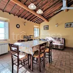 Rent 3 bedroom apartment of 75 m² in Capannori