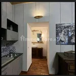 Rent 1 bedroom apartment of 35 m² in Turin