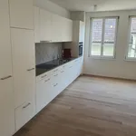 Rent 4 bedroom apartment in Zofingen