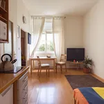 Pronajměte si 1 ložnic/e byt o rozloze 28 m² v Prague