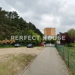 Rent 2 bedroom apartment of 42 m² in Poznan