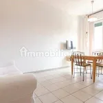 Rent 2 bedroom apartment of 50 m² in Bologna