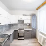 Rent 3 bedroom apartment of 67 m² in Netvořice