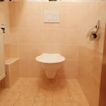 Rent 3 bedroom apartment in Prague