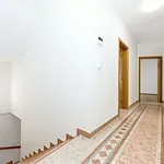 Pronajměte si 1 ložnic/e dům o rozloze 280 m² v Prague